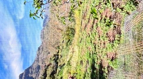 Pis en venda a Calle Soria, 48, Marzagán - Los Hoyos - La Montañeta, Las Palmas de Gran Canaria - imatge 5 Foto 5 de Pis en venda a Calle Soria, 48, Marzagán - Los Hoyos - La Montañeta, Las Palmas de Gran Canaria