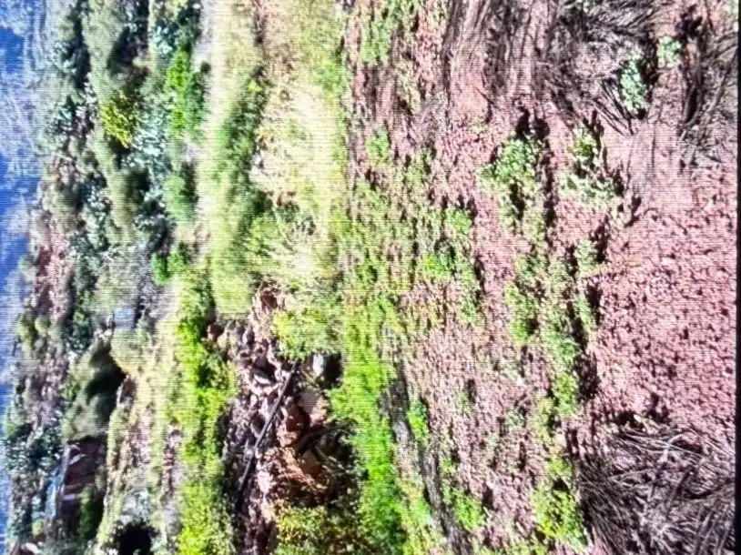Pis en venda a Calle Soria, 48, Marzagán - Los Hoyos - La Montañeta Pis en venda en Las Palmas de Gran Canaria amb Jardí privat, Traster i Moblat