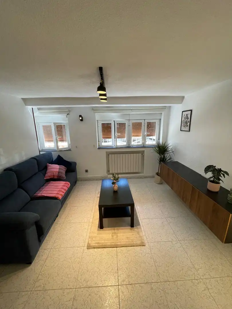 Sala d'estar de Pis de lloguer en Madrid amb Calefacció i Moblat
