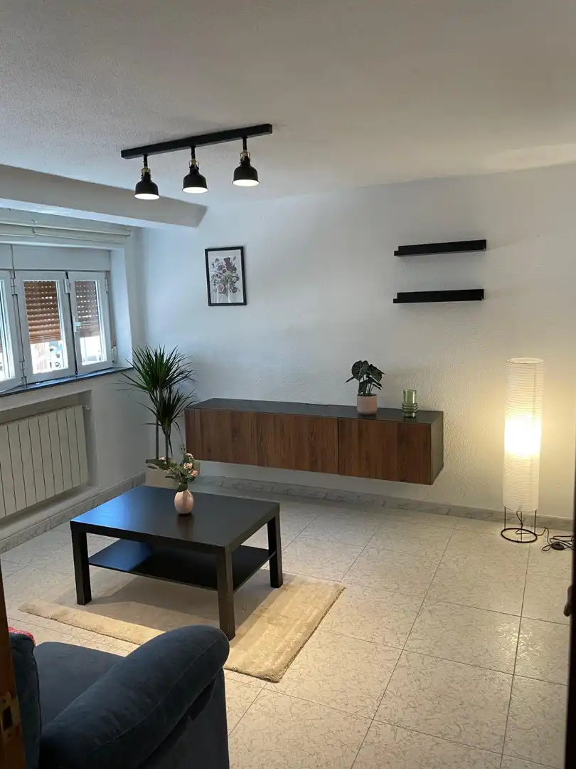 Sala d'estar de Pis de lloguer en Madrid amb Calefacció i Moblat