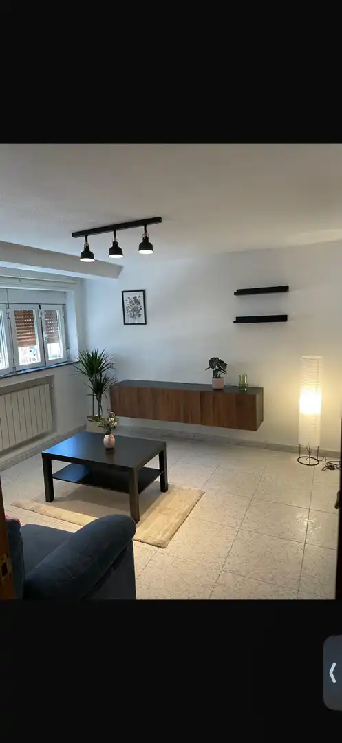 Sala d'estar de Pis de lloguer en Madrid amb Calefacció i Moblat