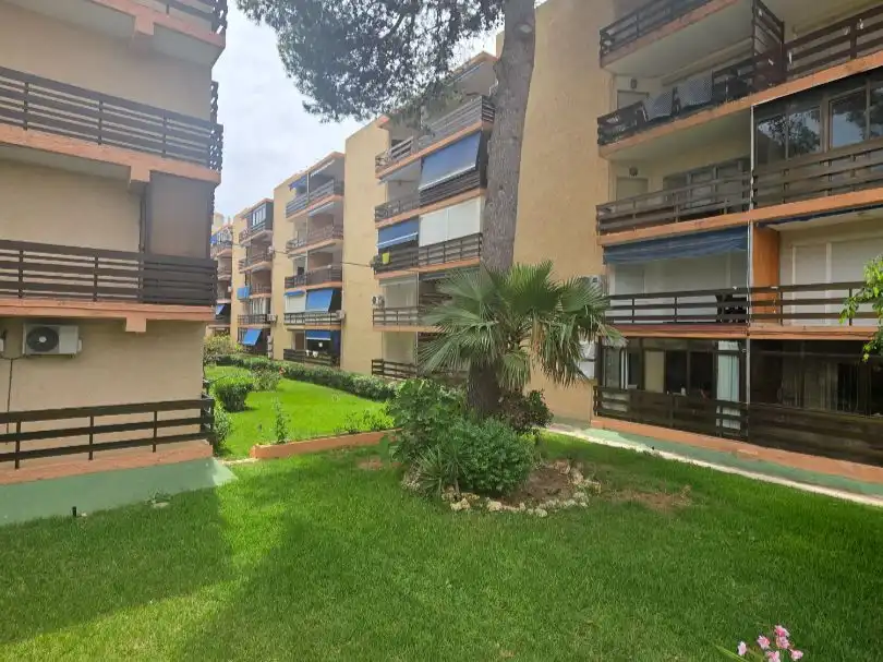 Study for rent in Carrer el Pinós, 2, Playa Muchavista Exterior view of Study for rent in El Campello with Air Conditioner, Swimming Pool and Furnished
