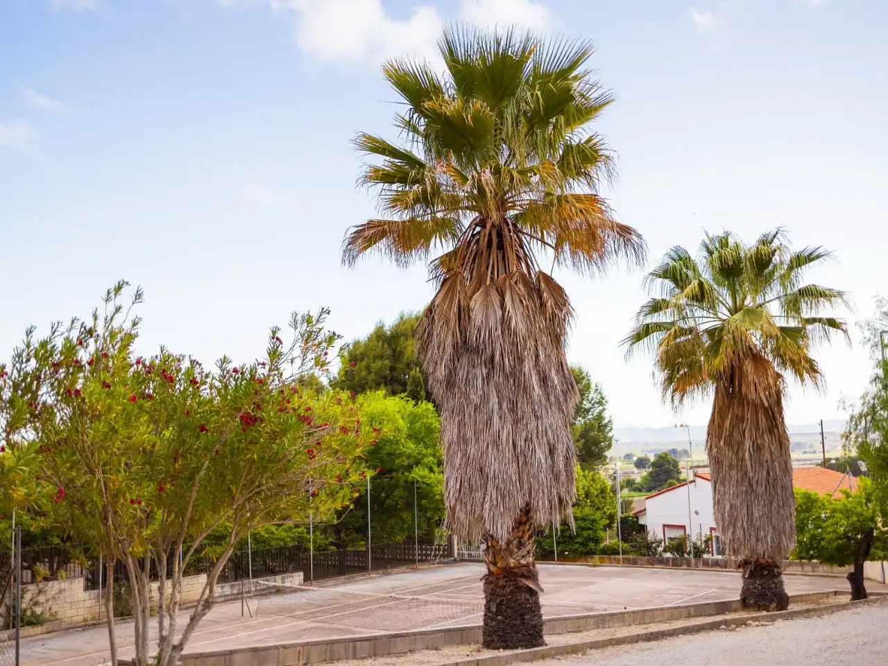 Casa o chalet en venta en Partida el Morron, 46, Cabanes y Las Fuentes Casa o chalet en venta en Partida el Morron, 46, Cabanes y Las Fuentes