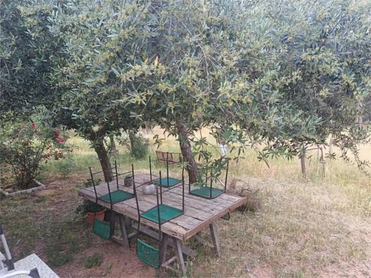 Habitación en Valverde del Camino Habitación en Valverde del Camino