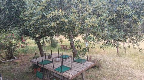 Foto 3 de Habitació a Valverde del Camino, Huelva