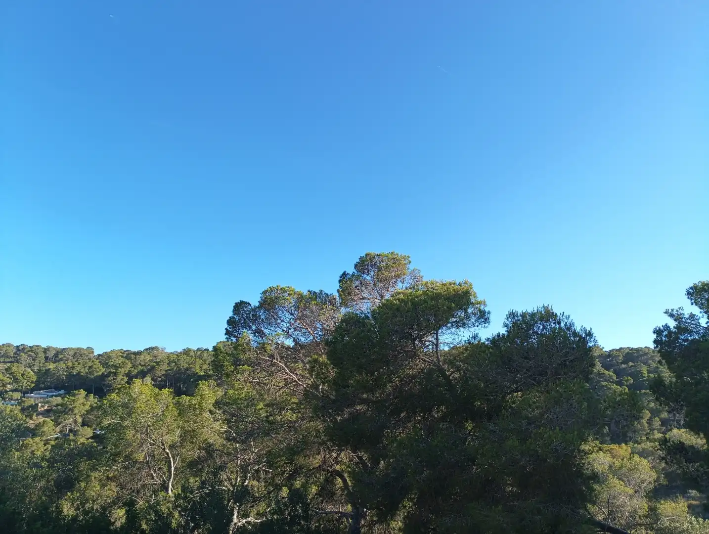 Ground floor for rent in Calvià  with Air Conditioner, Terrace and Furnished