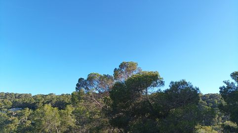 Planta baixa de lloguer a Calle Eivissa /por. Vells, 7, Sol de Mallorca, Calvià - imatge 5 Foto 5 de Planta baixa de lloguer a Calle Eivissa /por. Vells, 7, Sol de Mallorca, Calvià