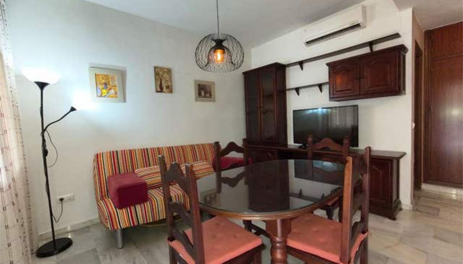 Apartments for rent in Sanlúcar la Mayor, Sevilla - image 1 Photo 1 of Apartments for rent in Sanlúcar la Mayor, Sevilla