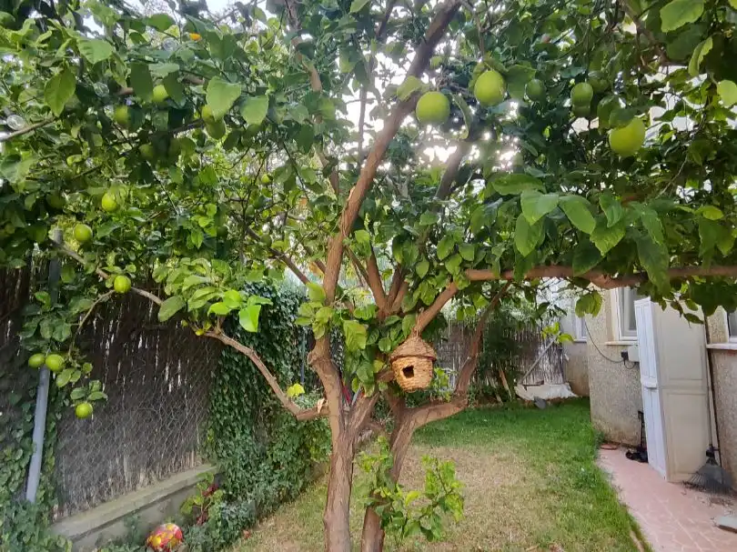 Flat for sale in Calle Francisco Riba, 6, Chapín - Campus Universitario - Navinco Garden of Flat for sale in Jerez de la Frontera with Air Conditioner, Terrace and Swimming Pool
