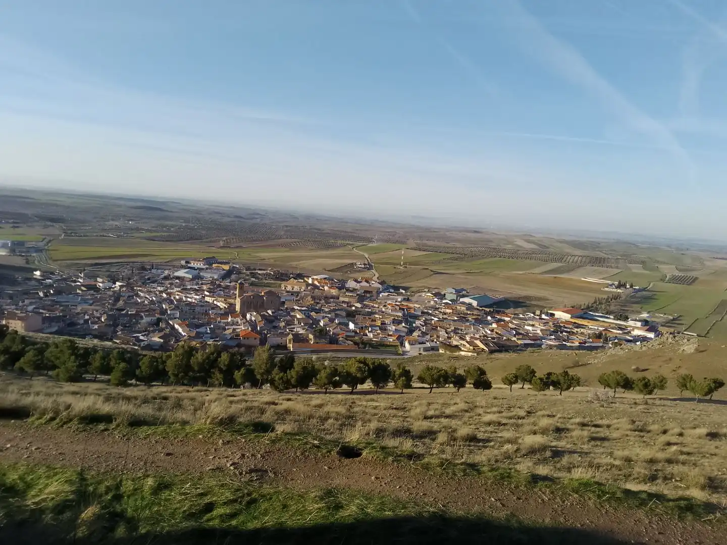 Vista exterior de Casa o xalet en venda en Almonacid de Toledo amb Aire condicionat, Jardí privat i Terrassa