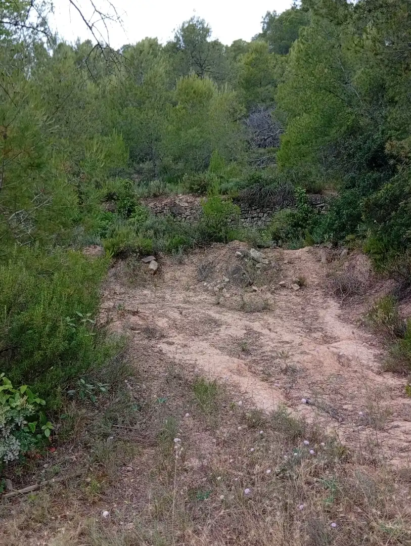 Country homes for rent in Passeig Doctor Ferran, 50, Corbera d'Ebre Country homes for rent in Corbera d'Ebre with Private garden