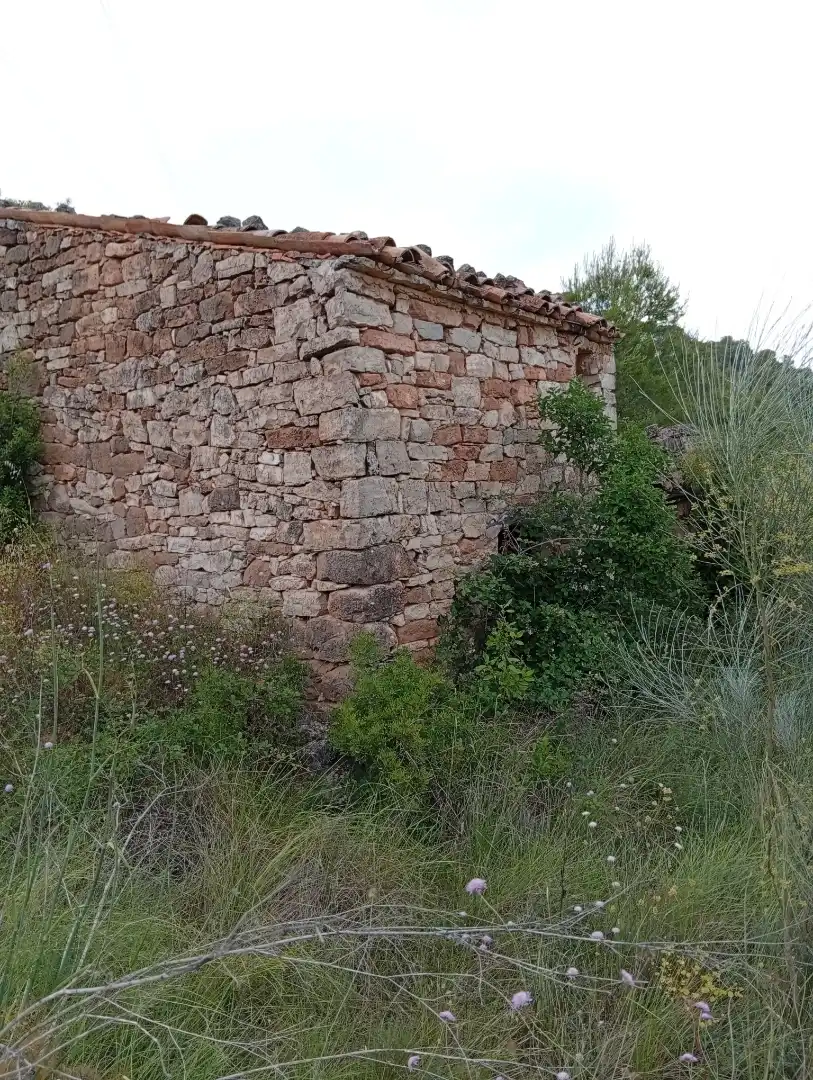 Country homes for rent in Passeig Doctor Ferran, 50, Corbera d'Ebre Exterior view of Country homes for rent in Corbera d'Ebre with Private garden