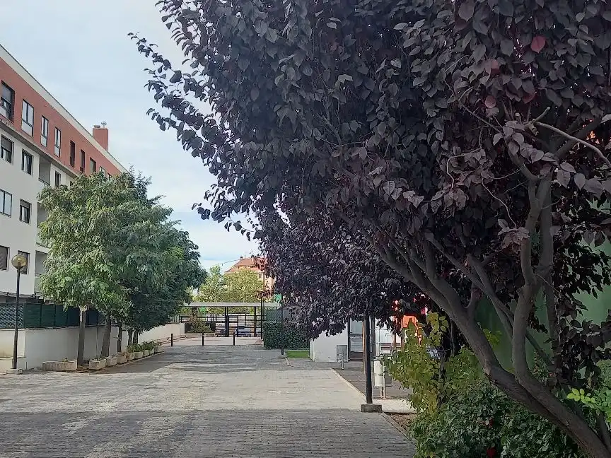 Exterior view of Flat for sale in Ávila Capital  with Terrace and Swimming Pool
