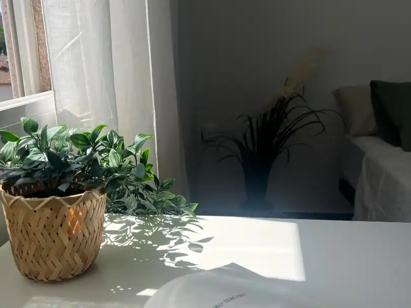 Garden of Flat for share in Badalona  with Furnished