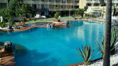 Apartament de lloguer a Golf del Sur - Amarilla Golf, San Miguel de Abona - imatge 4 Foto 4 de Apartament de lloguer a Golf del Sur - Amarilla Golf, San Miguel de Abona