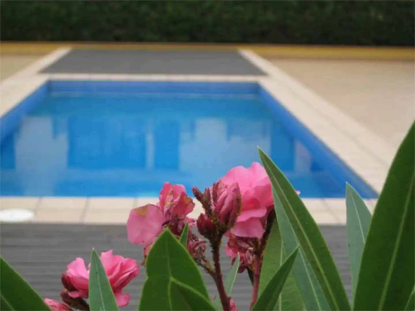 Flat for sale in Forallac Swimming pool of Flat for sale in Forallac with Swimming Pool