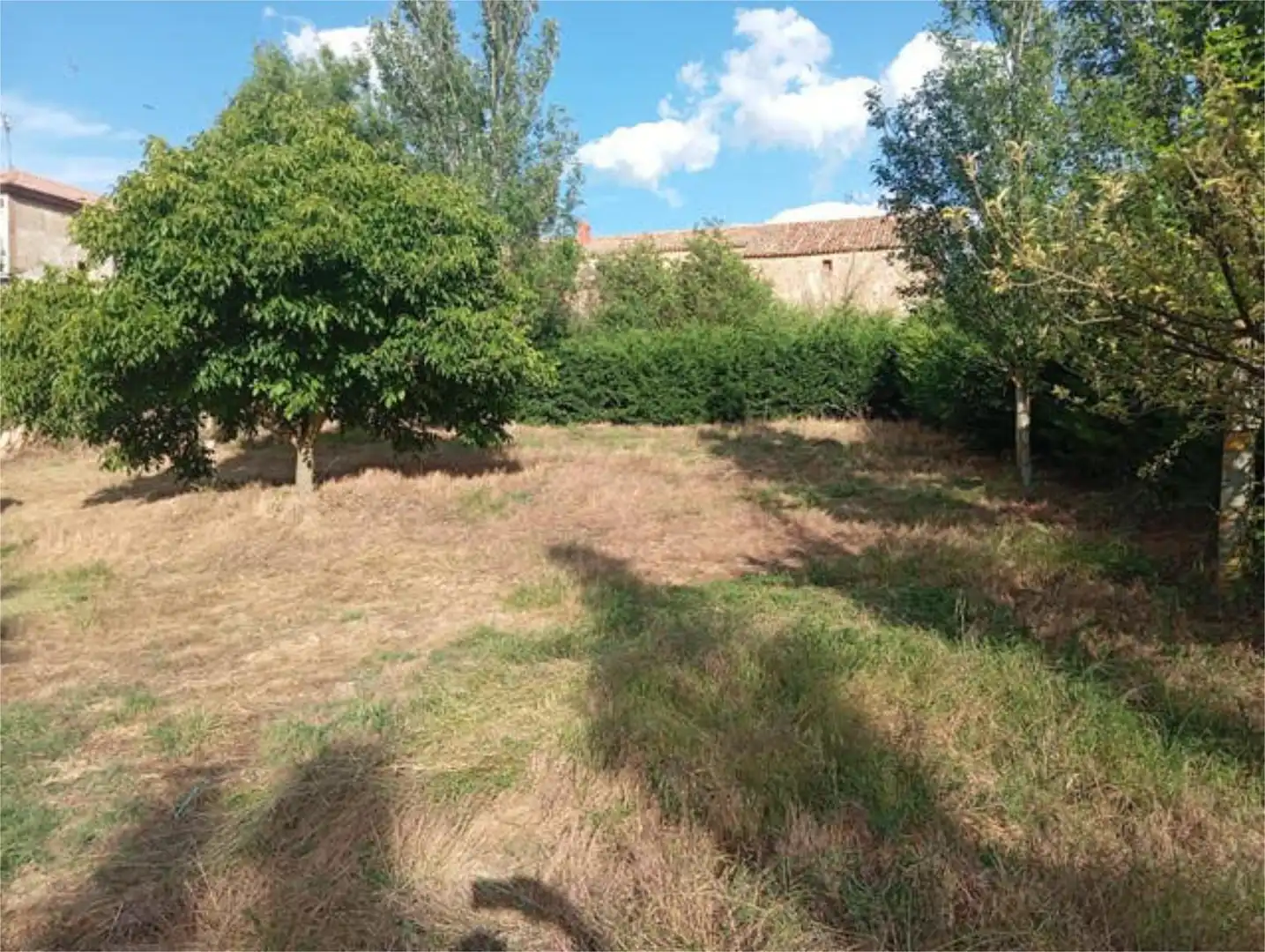 Houses for sale in Arancón