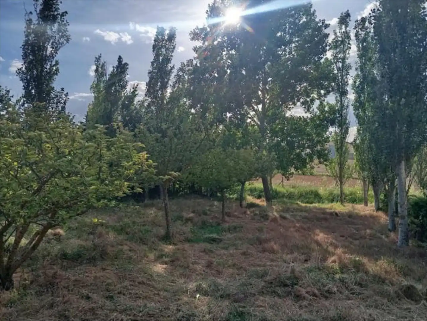Houses for sale in Arancón