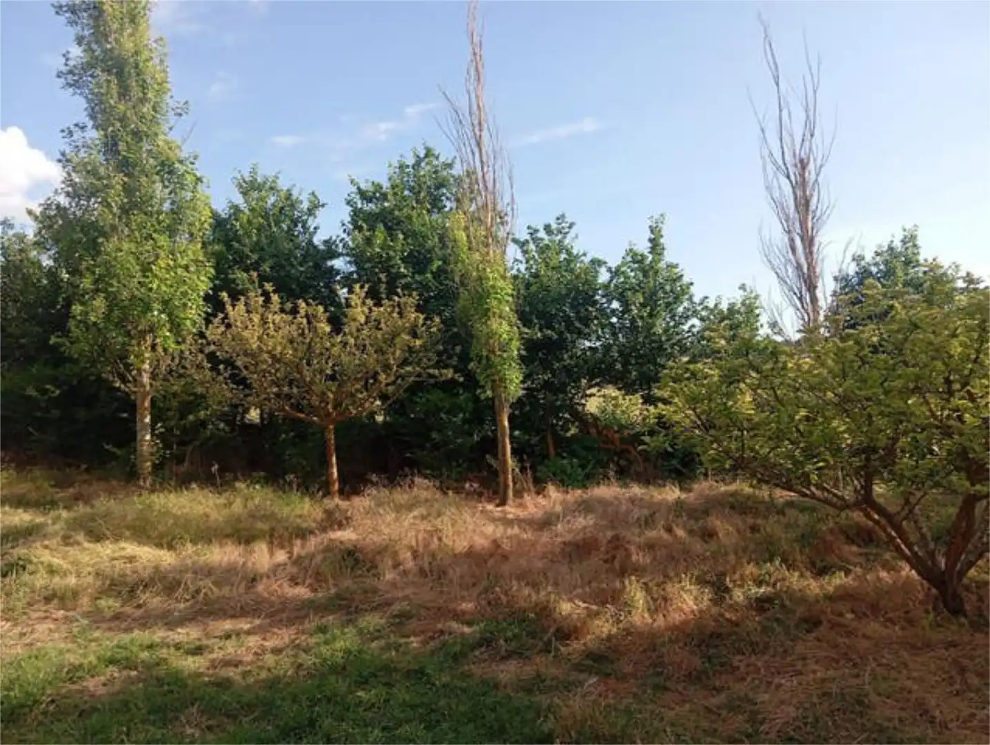 Houses for sale in Arancón