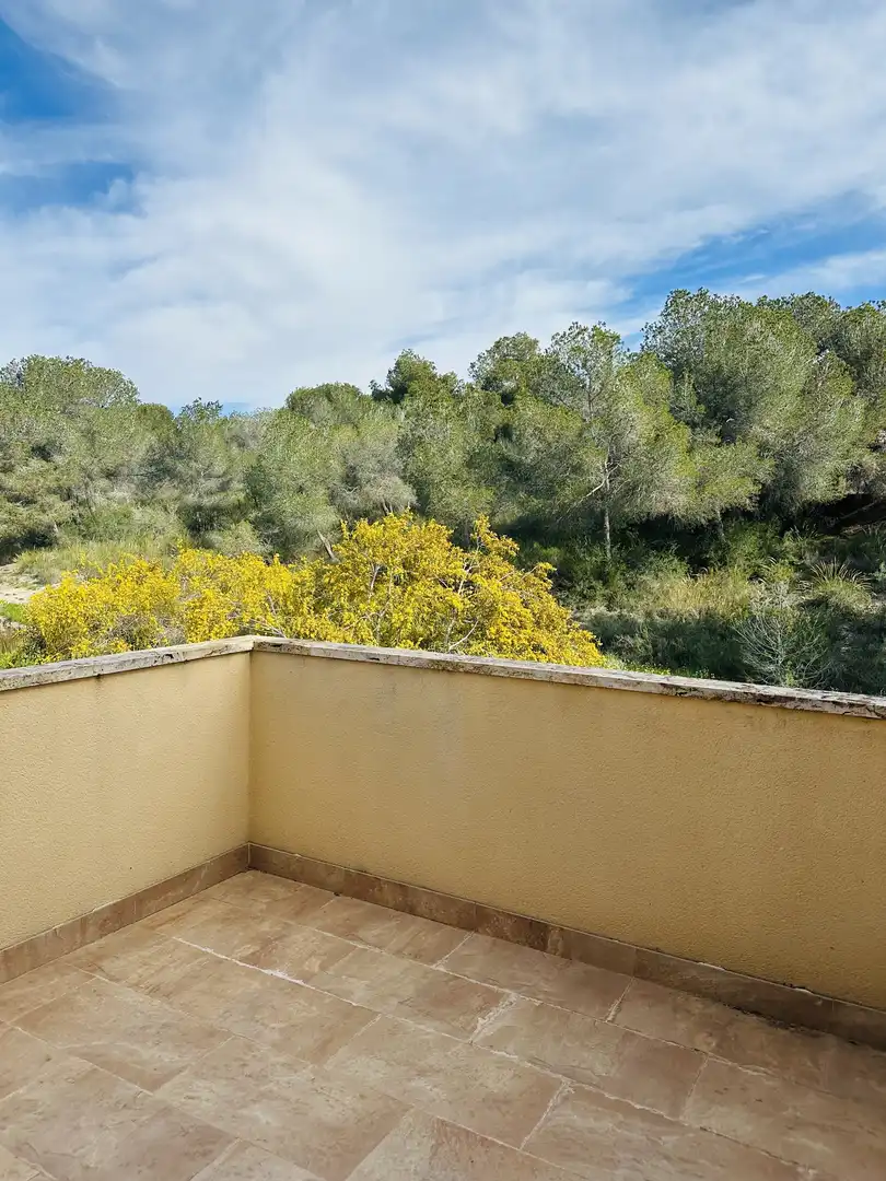 Casa o xalet en venda a Calle Albaricoquero, 39, El Pinar de Campoverde Terrassa de Casa o xalet en venda en Pilar de la Horadada amb Aire condicionat, Jardí privat i Parquet