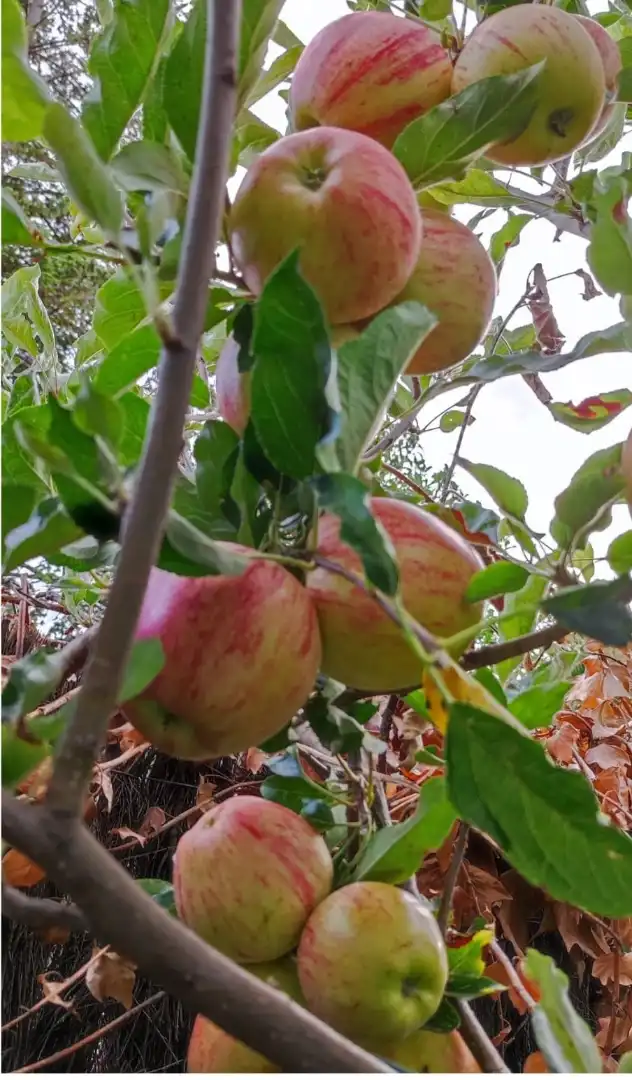 Pis en venda a Carrer de Santa Natàlia, 17, Lliçà de Vall Jardí de Pis en venda en Lliçà de Vall amb Aire condicionat, Terrassa i Piscina
