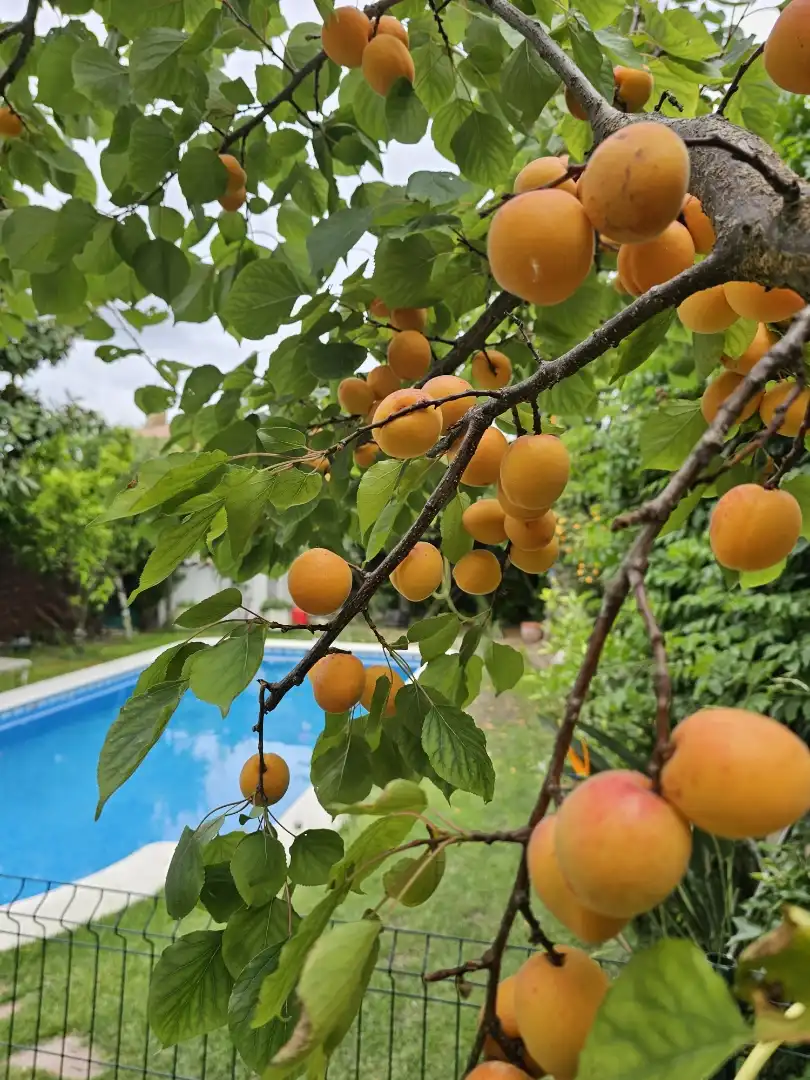 Pis en venda a Carrer de Santa Natàlia, 17, Lliçà de Vall Jardí de Pis en venda en Lliçà de Vall amb Aire condicionat, Terrassa i Piscina