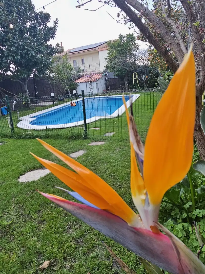 Pis en venda a Carrer de Santa Natàlia, 17, Lliçà de Vall Piscina de Pis en venda en Lliçà de Vall amb Aire condicionat, Terrassa i Piscina