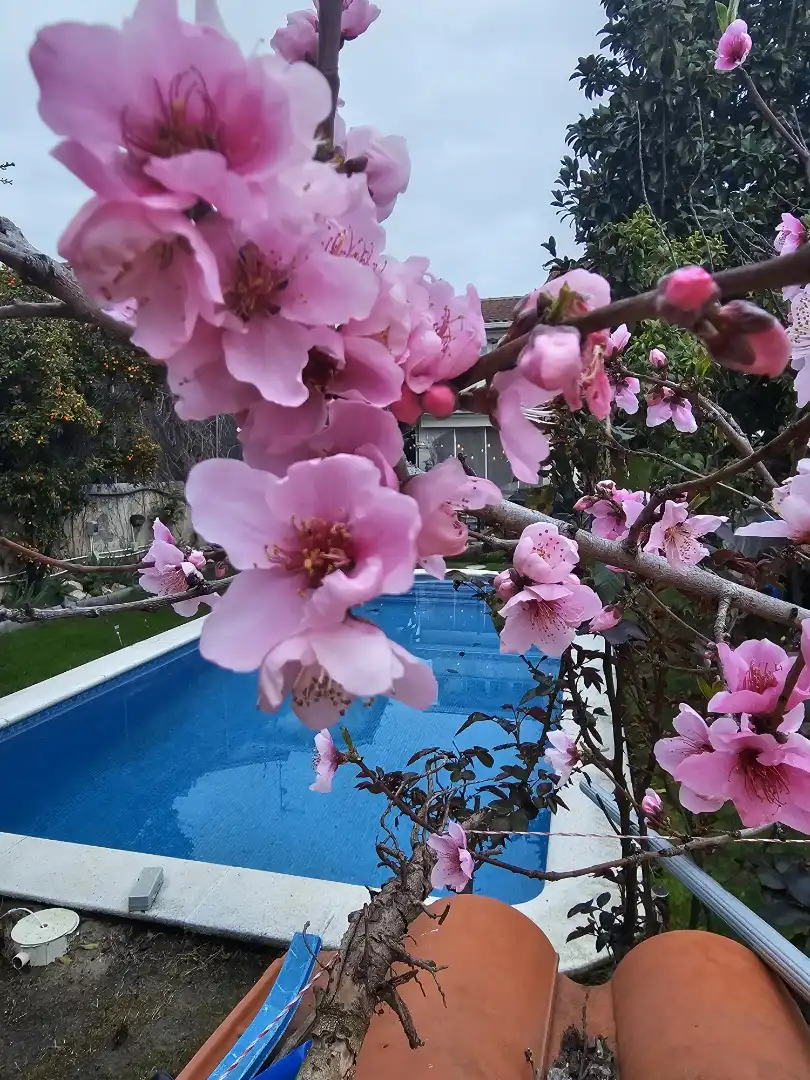 Pis en venda a Carrer de Santa Natàlia, 17, Lliçà de Vall Piscina de Pis en venda en Lliçà de Vall amb Aire condicionat, Terrassa i Piscina