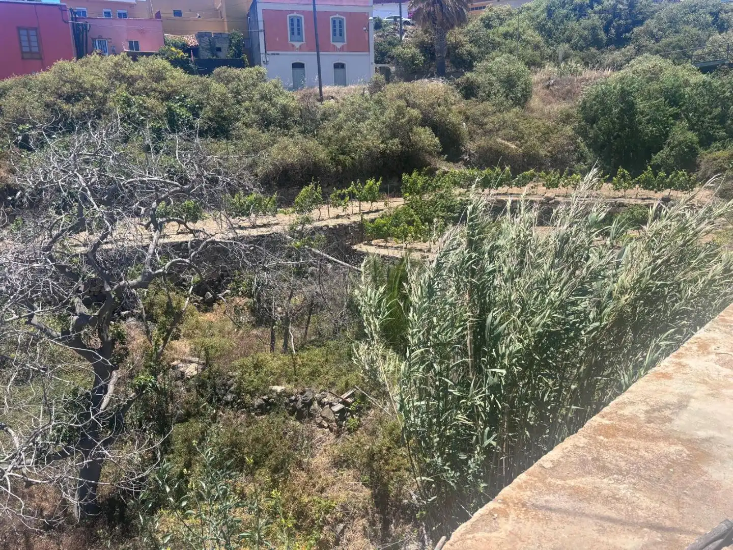 Country homes for sale in Carretera Los Roques, 4, Fasnia Country homes for sale in Fasnia with Terrace
