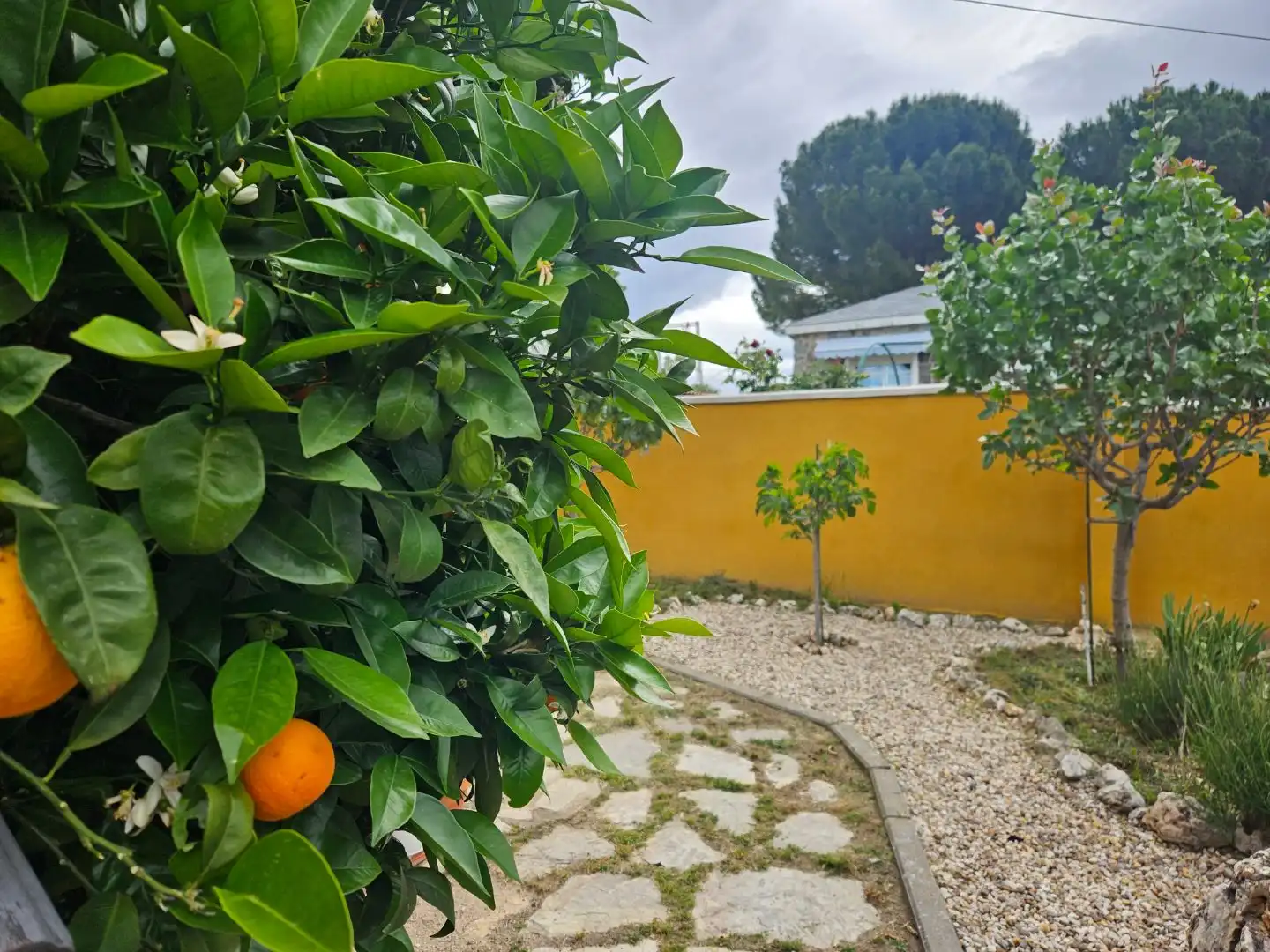 Jardí de Casa o xalet en venda en Móstoles amb Aire condicionat, Terrassa i Piscina