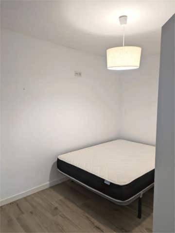 Piso en Alquiler en Santa Rosa - Valdeolleros