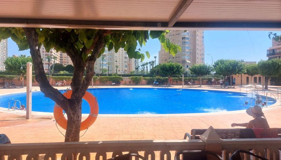 Flat for sale in Avenida de Niza, 118, Playa Muchavista, El Campello - image 1 Photo 1 of Flat for sale in Avenida de Niza, 118, Playa Muchavista, El Campello