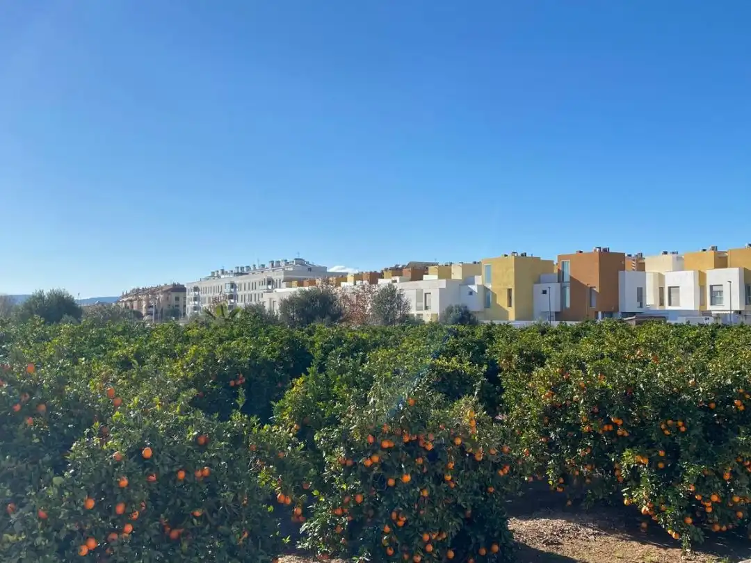 Einfamilien-Reihenhaus zum Verkauf in Calle Hiedra, 15, Núcleo Urbano Außenansicht von Einfamilien-Reihenhaus zum Verkauf in La Pobla de Vallbona mit Klimaanlage, Terrasse und Balkon