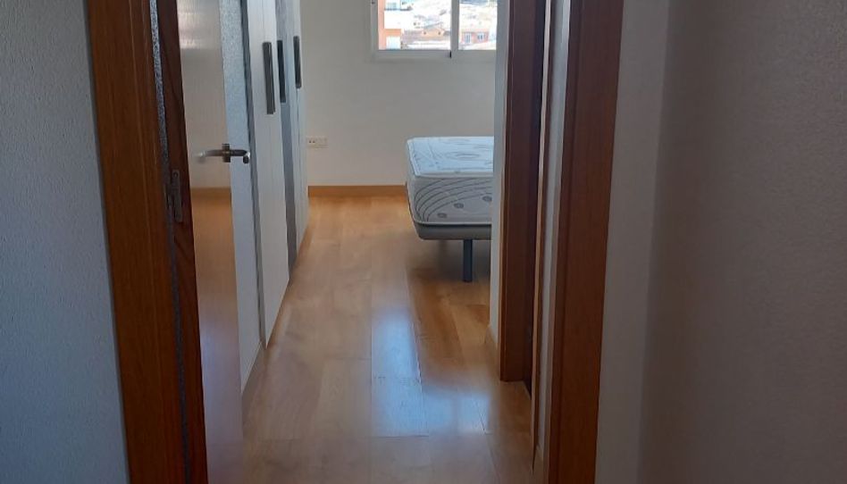 Room in Avenida Oscar Esplá, 10, Monforte del Cid, Alicante - image 1 Photo 1 of Room in Avenida Oscar Esplá, 10, Monforte del Cid, Alicante