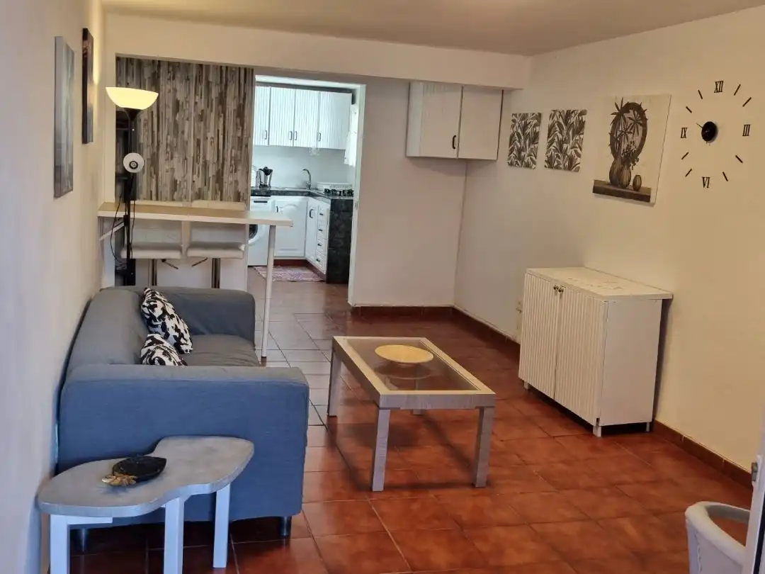 Apartamento de alquiler en Avenida Malpaís, 35, Playa de San Juan