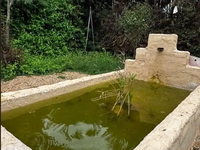 Jardí de Casa o xalet de lloguer en Fresno de Cantespino amb Calefacció, Jardí privat i Parquet