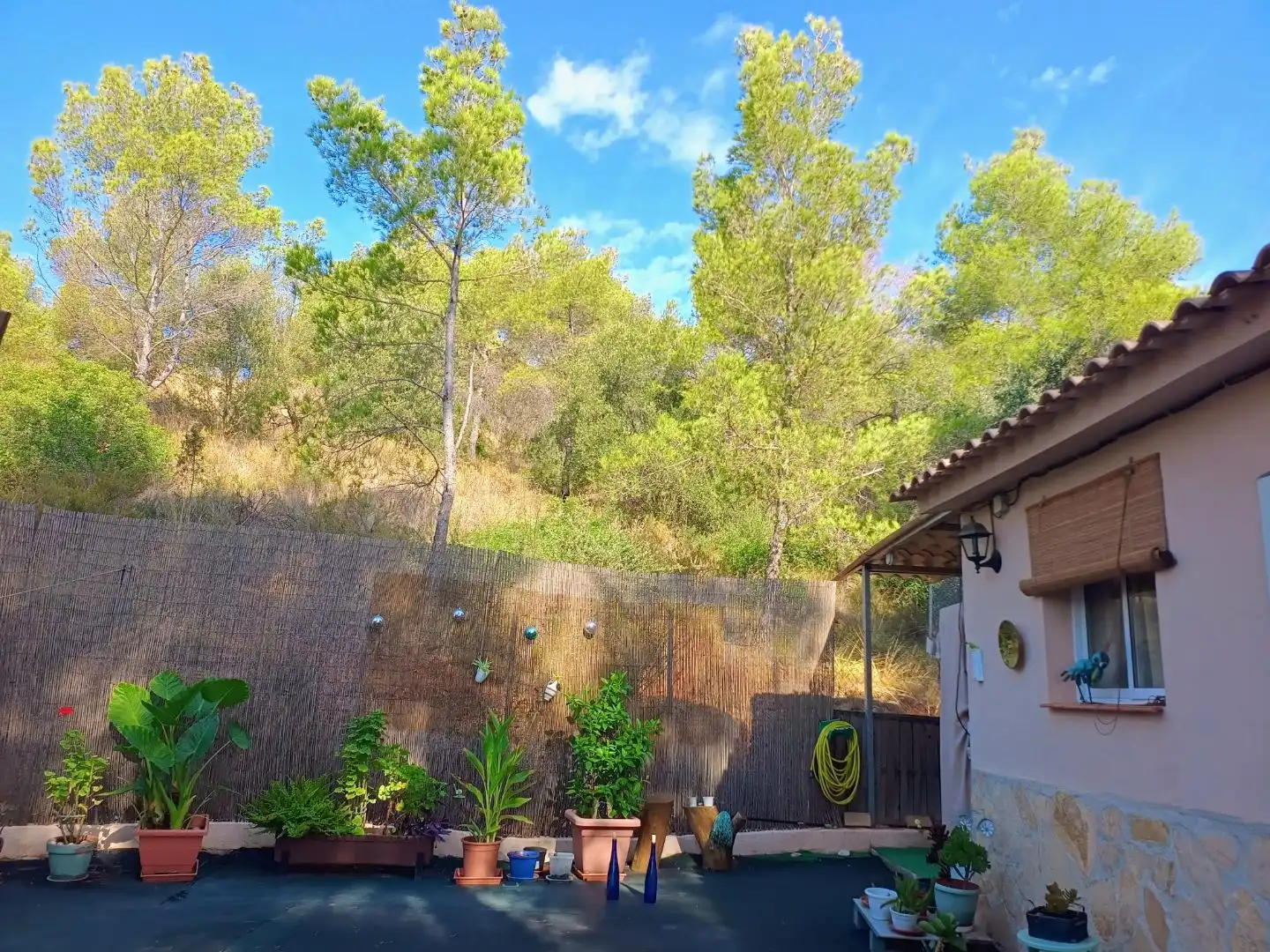 Finca rústica en venta en Avinguda Camp Morvedre, 16, Estivella Jardín de Finca rústica en venta en Estivella con Aire acondicionado, Calefacción y Jardín privado