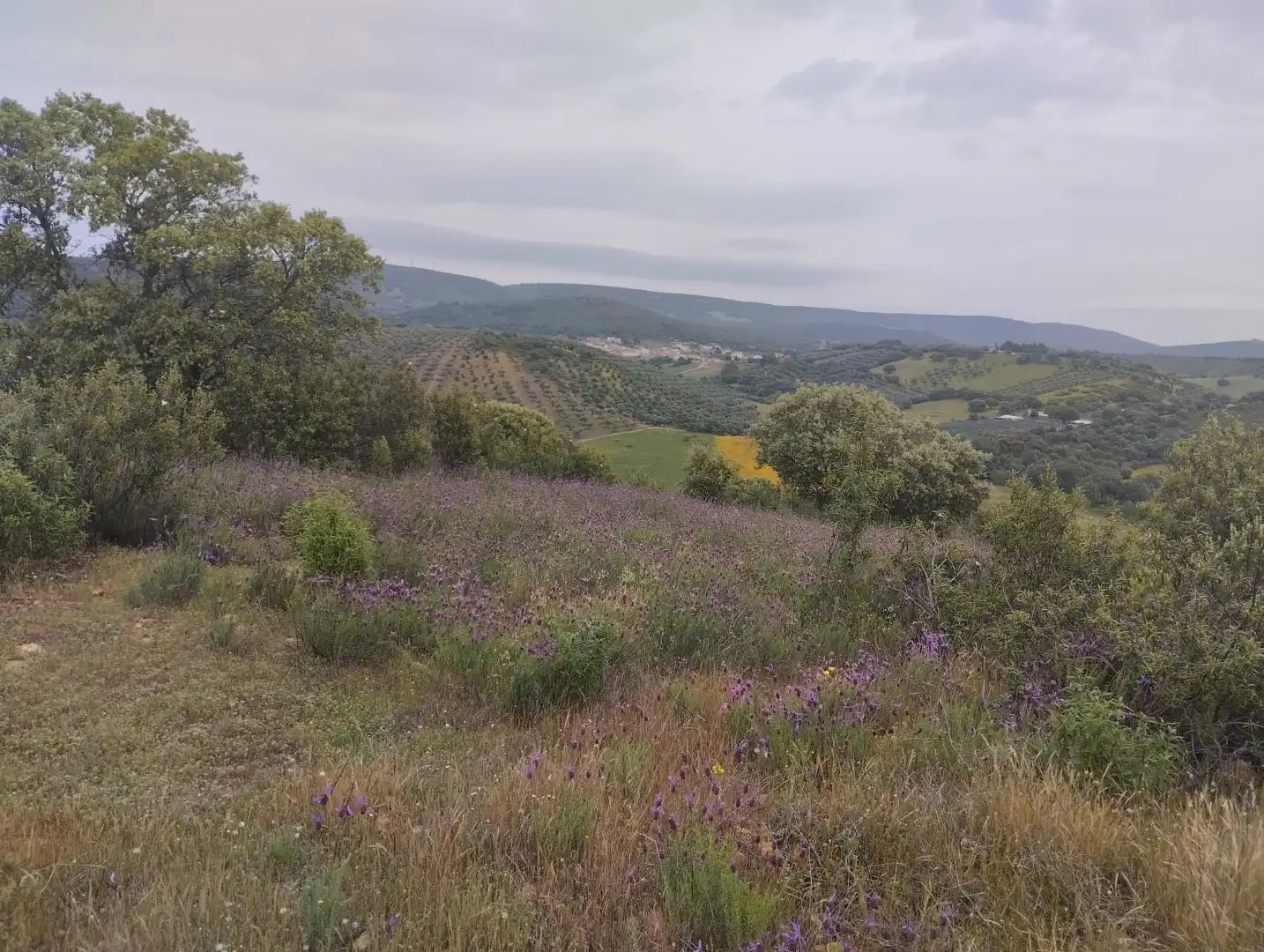 Houses for sale in Navalpino  with Private garden and Furnished