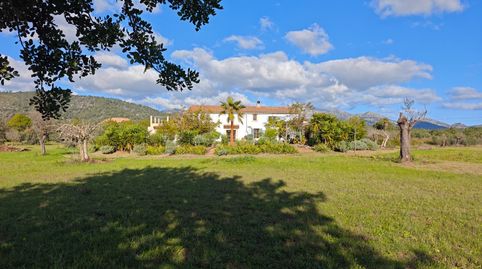 Finca rústica en venta en Camino Son Coll, 536, Lloseta, Illes Balears - imagen 2 Foto 2 de Finca rústica en venta en Camino Son Coll, 536, Lloseta, Illes Balears