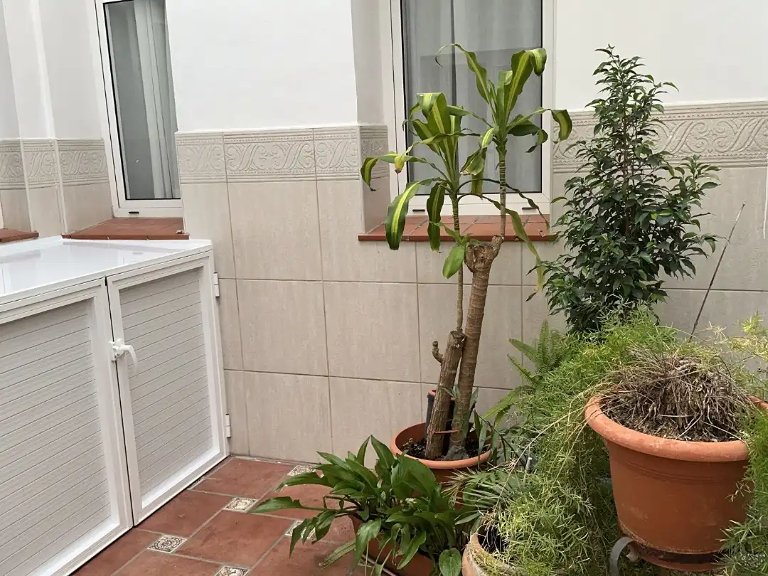 Terraza de Piso de alquiler en Santa Cruz de Tenerife