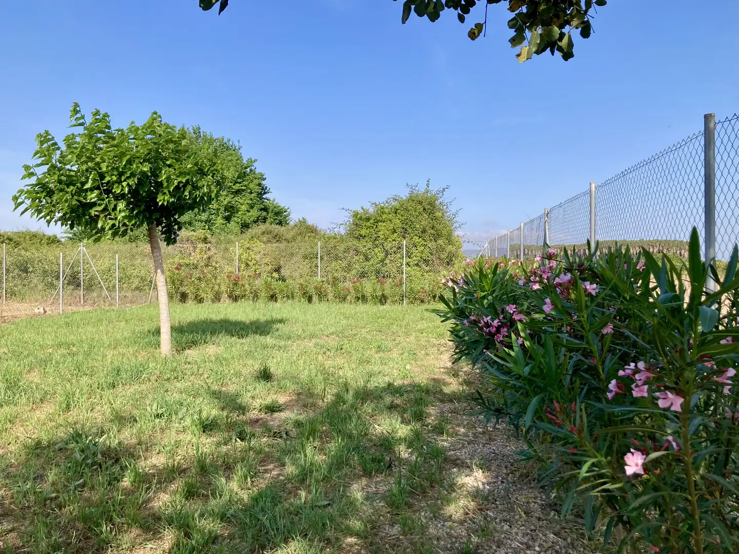 Casa o chalet en venta en Corbera con Aire acondicionado, Terraza y Piscina