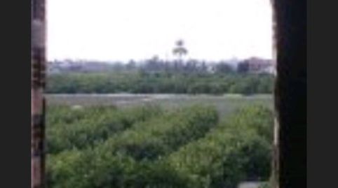 Foto 5 de Piso en venta en Rincon de San Anton, 33, Llano de Brujas, Murcia Capital