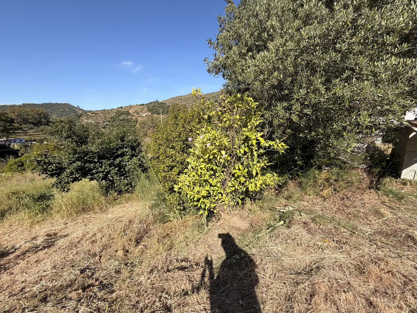 Finca rústica en venda en Marbella