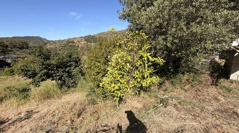 Finca rústica en venda a Calle Obradura, 15p, Alto de los Monteros, Marbella - imatge 5 Foto 5 de Finca rústica en venda a Calle Obradura, 15p, Alto de los Monteros, Marbella