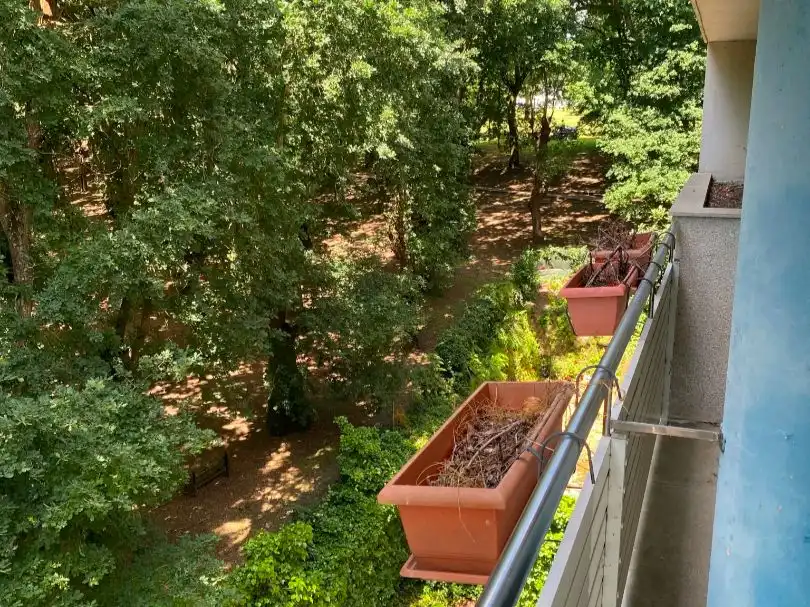 Piso de alquiler en Estrada da Granxa, 18, Acea de Olga - Augas Férreas Terraza de Piso de alquiler en Lugo con Calefacción, Jardín privado y Parquet