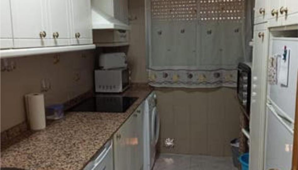 Flat for rent in El Plantinar – Avda. La Paz - El Juncal, Sevilla Capital - image 1 Photo 1 of Flat for rent in El Plantinar – Avda. La Paz - El Juncal, Sevilla Capital