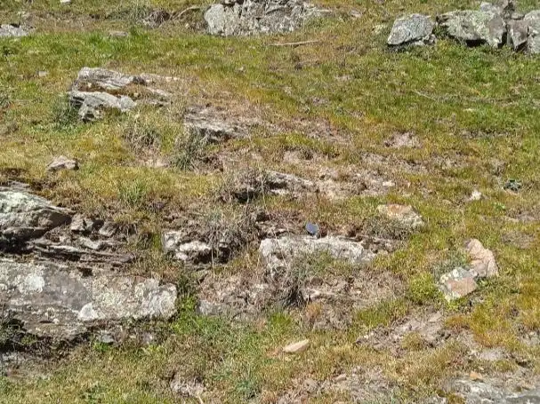 Finca rústica en venda a Carretera a Condemios, 17, Condemios de Arriba Finca rústica en venda en Condemios de Arriba