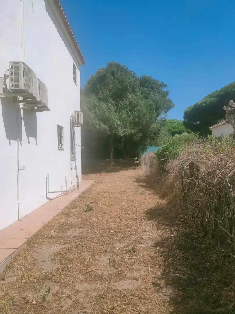 Casa o chalet en venta en Pago Zahora, 308, Zahora Jardín de Casa o chalet en venta en Barbate con Aire acondicionado, Terraza y Piscina