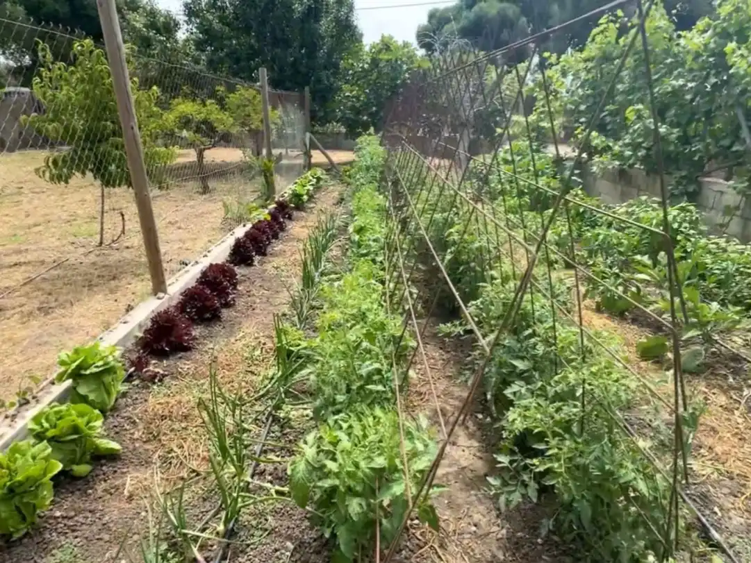 Wohnung zur Miete in Pago Zahora, 291, Zahora Garten von Wohnung zur Miete in Barbate mit Klimaanlage, Heizung und Privatgarten