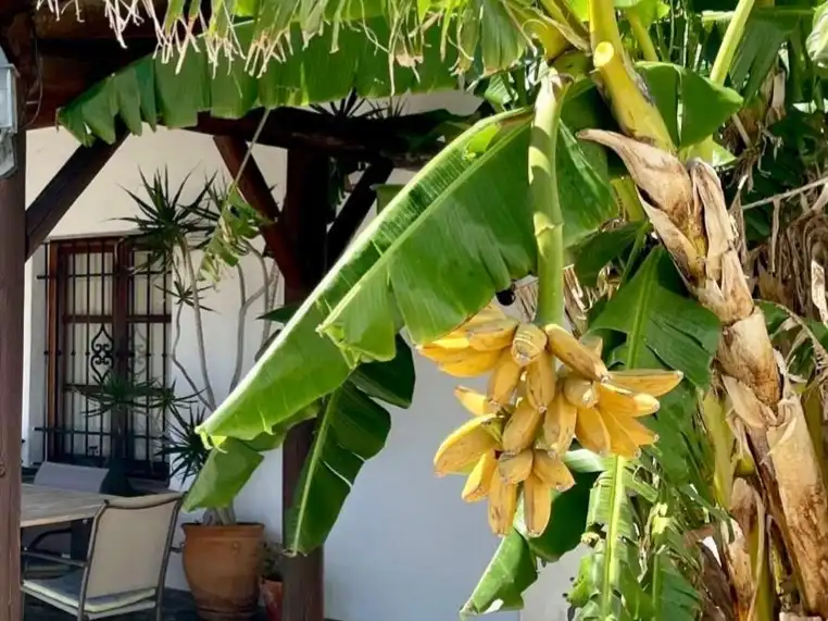 Wohnung zur Miete in Pago Zahora, 291, Zahora Wohnung zur Miete in Barbate mit Klimaanlage, Heizung und Privatgarten